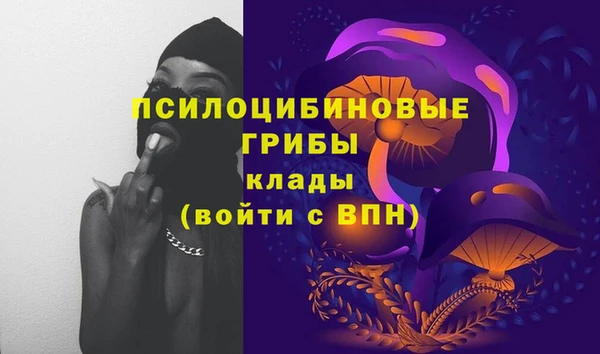 амф Арсеньев